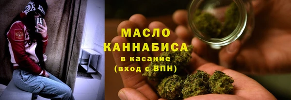 индика Братск
