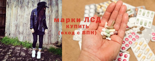 PSILOCYBIN Магас