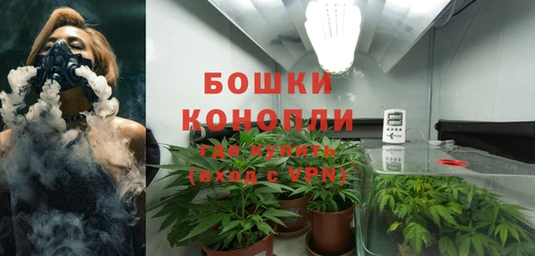 ECSTASY Медвежьегорск