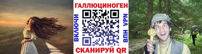 Псилоцибиновые грибы прущие грибы  купить  цена  Кадников 